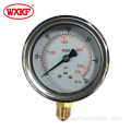 back bottom connection pressure gauges